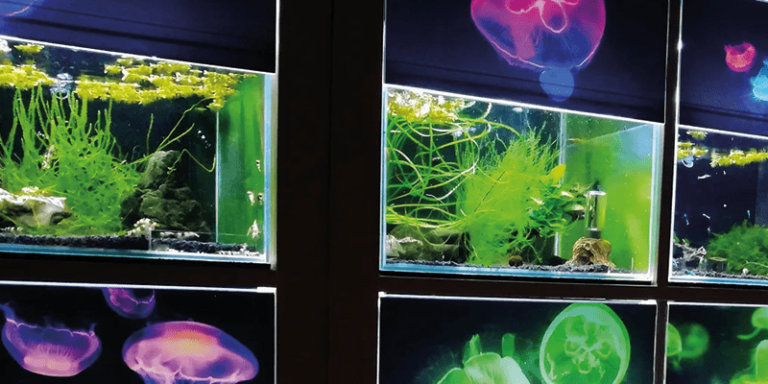 Aquarium Zubehör