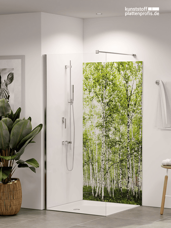 Duschrueckwand Birkenwald